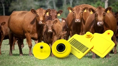 RFID do Bhainistíocht Beostoic